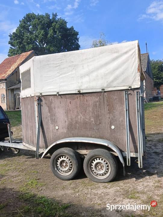 Przyczepa 2konna Konie Myślibórz