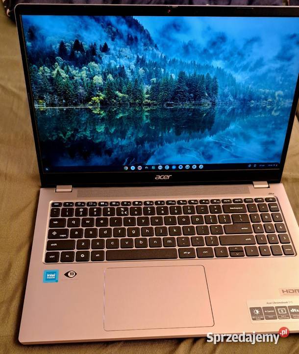 Sprzedam laptop Acer chromebook 315 Kutno sprzedam