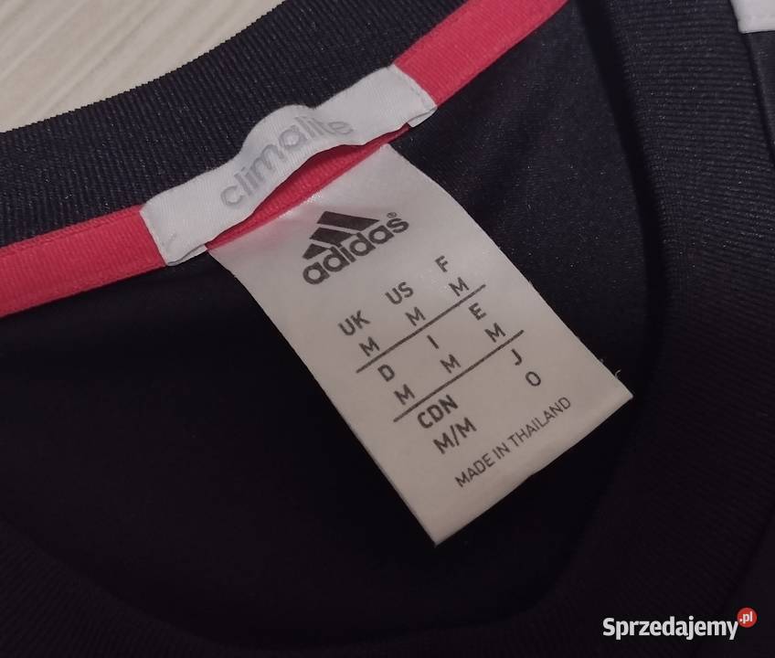 zestaw Adidas Parso koszulka spodenki M Libiąż