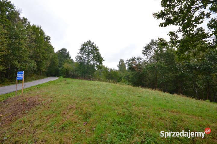 sprzedaży gruntu 12337m2 Nowy Wiśnicz sprzedam