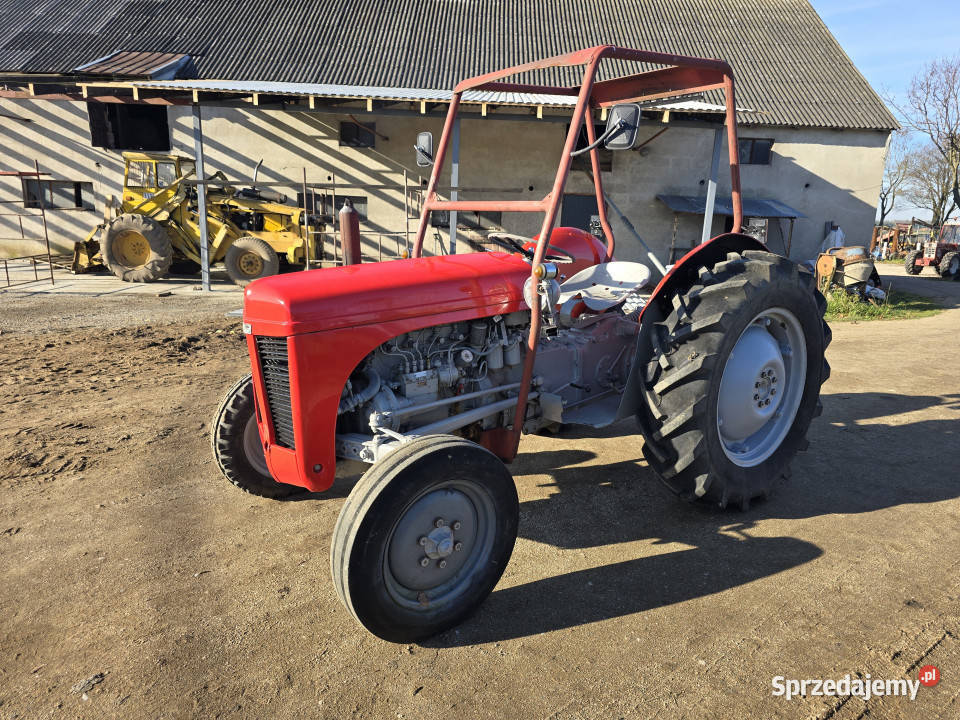 Ciągnik FERGUSON TEF20 zarejestrowany 30 diesel Skrzynia biegów Manualna Litwinki