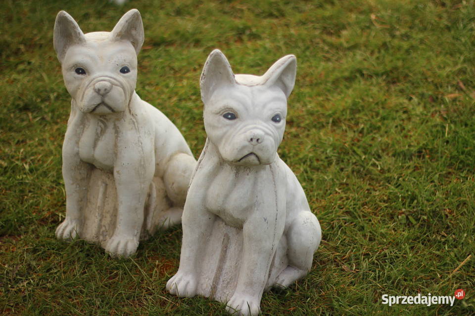 Figury rzeźby ogrodowe betonowe pies Goliszów