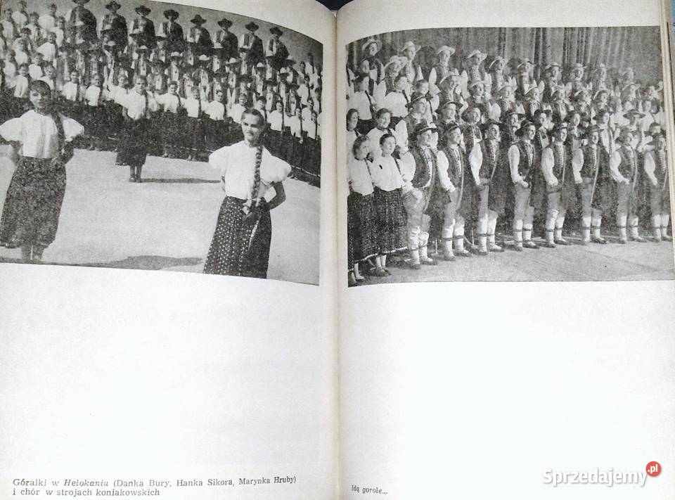 W pogoni wiosną Stanisław Hadyna miękka z obwolutą Chełm