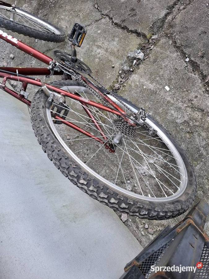 Rower górski 26 Thorn