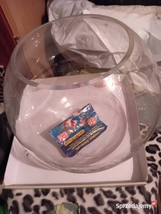 AKWARIUM K U L A warmińsko-mazurskie Nidzica