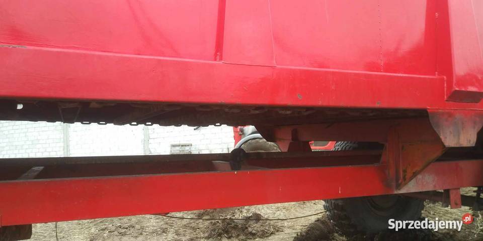 Rozrzutnik obornika nieuszkodzony Krynica sprzedam