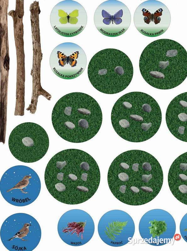 Łąka ścieżka edukacyjna gry korytarzowe dzieci