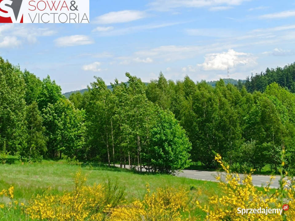 Działka budowlana 3 Wałbrzycha Promocja asfalt Jedlina-Zdrój sprzedam