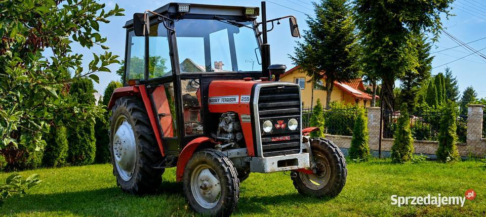 MF 255 ciągnik MasseyFerguson Ursus 3512 2812