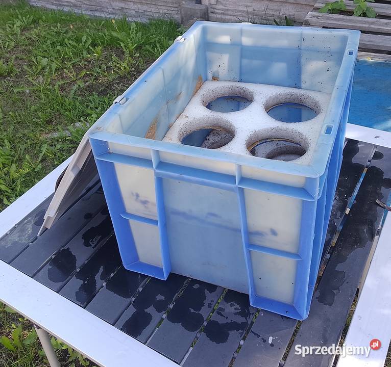 Skrzynka plastikowa Pojemnik plastikowy z Kielce sprzedam