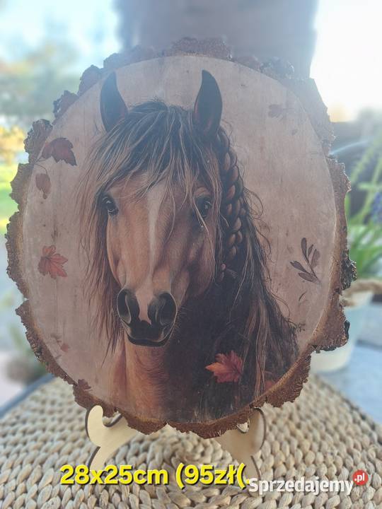 Obraz na drewnie Strzyżów