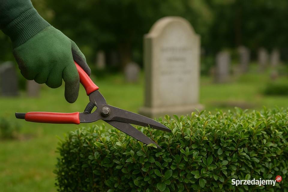 Przycięcie żywopłotu wycięcie tui gałęzi Wrocław