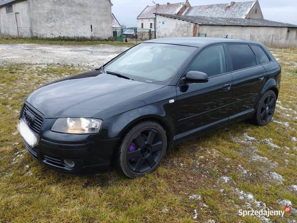 Audi A3 8P 20 TDI Quatro Kłodzko