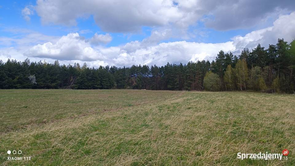 Działka z warunkami zabudowy bud Trelkowo