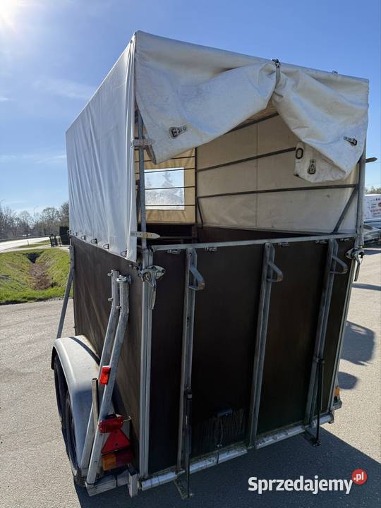 Boeckmann 1 konna przyczepa Solnica