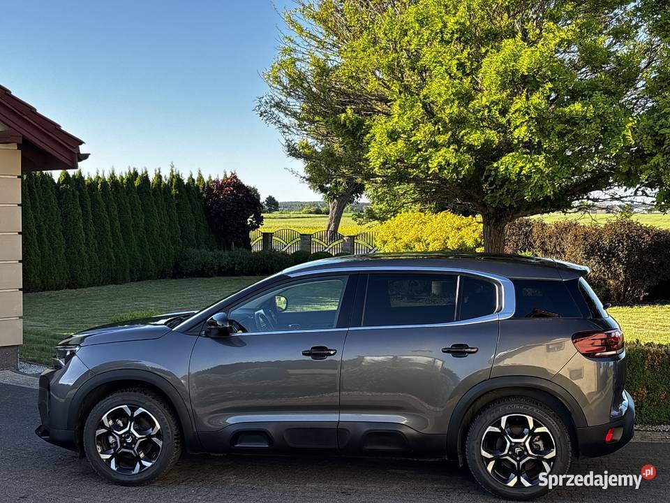 Citroen C5 Aircross 15 BlueHDI 131 Automat 2025 kujawsko-pomorskie Rogóźno sprzedam
