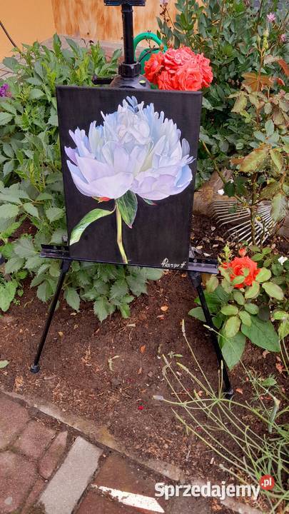 Piękne autorskie obrazy olejne na płótnie Brwinów