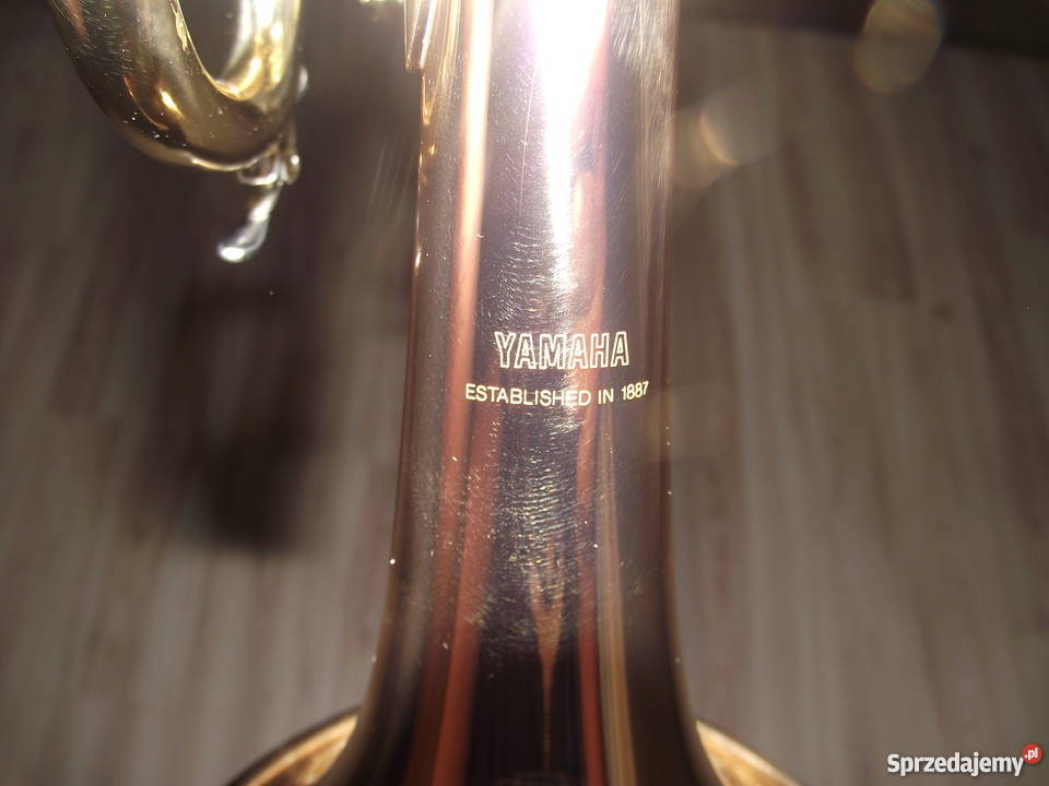 sprzedam trąbke drewniane Łęczyca sprzedam