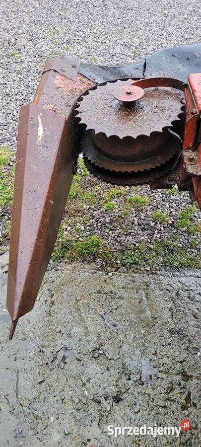 Sieczkarnia jednorzędowa do kukurydzy krone lubelskie Gorajec-Stara Wieś