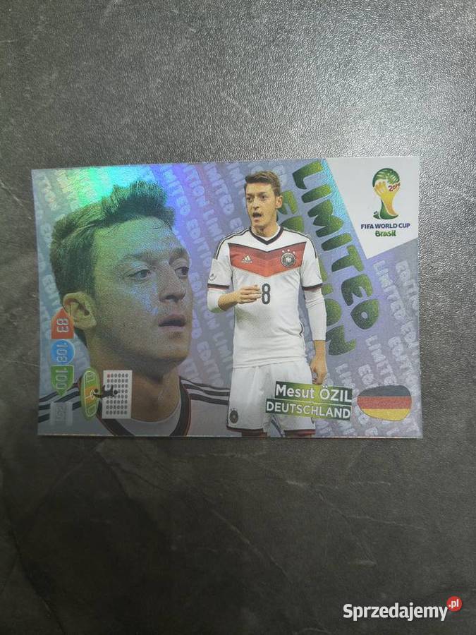 PANINI FIFA WORLD CUP BRASIL 2014 Pozostałe małopolskie Kraków