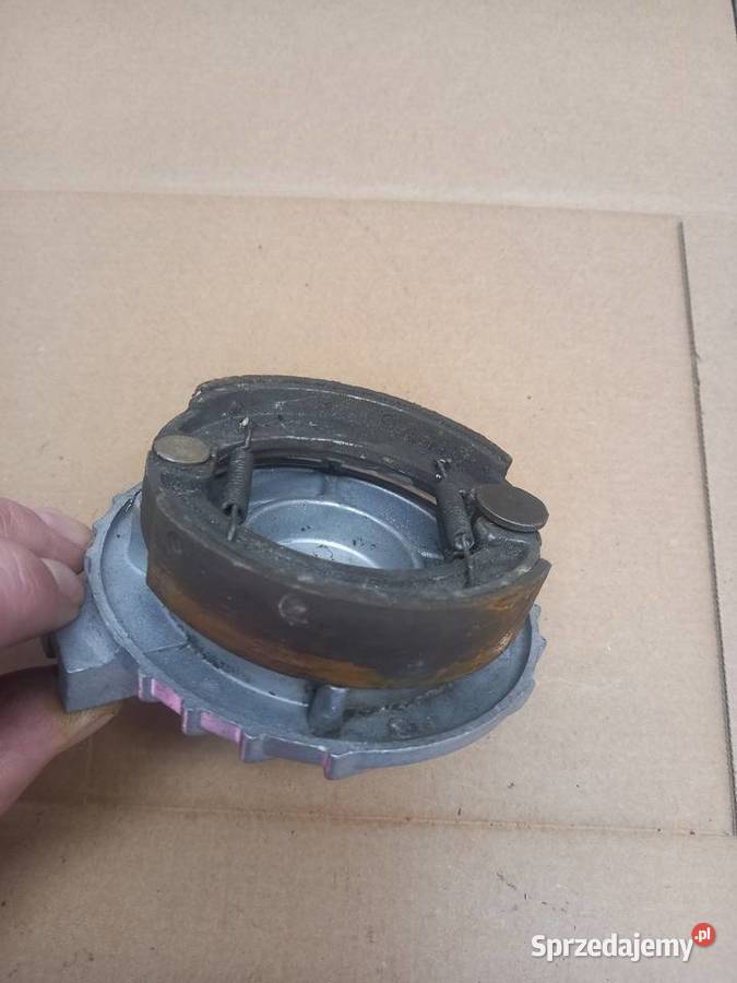 Szczekotrzymacz zak ryś