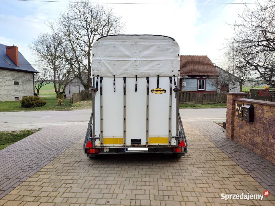 Przyczepa do Koni BOCKMANN DMC 2000 Bukmanka Rok produkcji 1989 Wodzisław