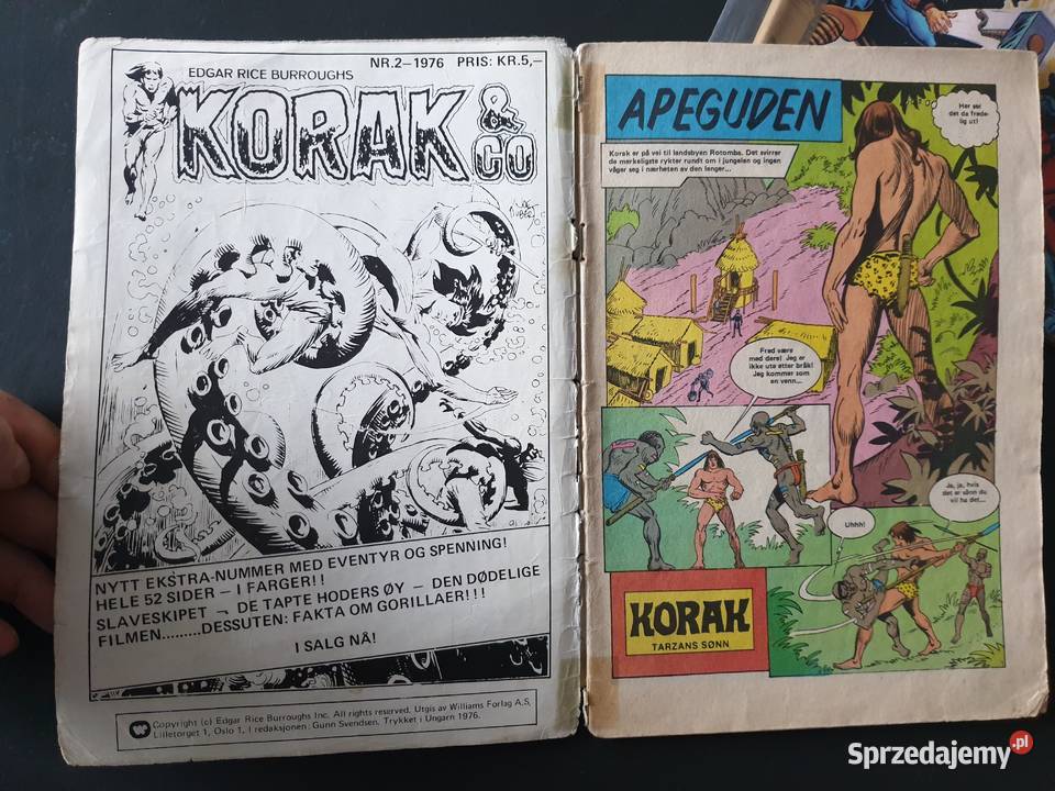 Zestaw 10ciu komiksów europejskich różne języki Gdynia