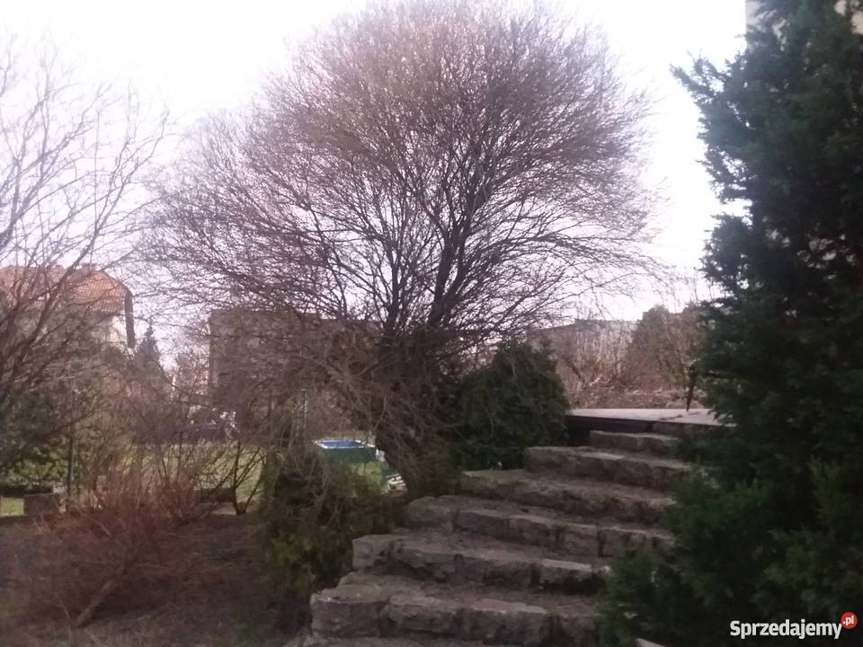 Sprzedam dom Tarnowskie Góry doskonała Tarnowskie Góry