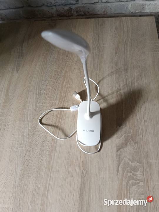 Lapka pokojowa lubelskie sprzedam