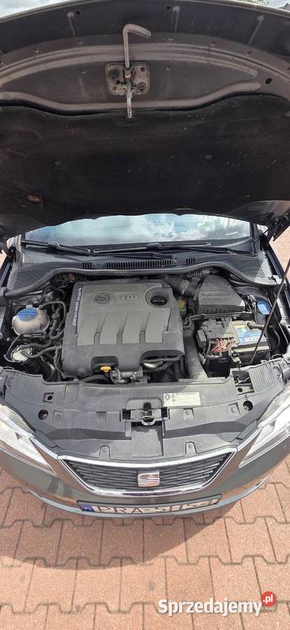 Seat Ibiza 16 tdi Motoryzacja