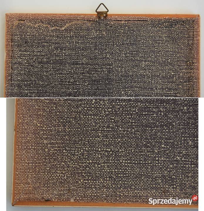 Papugi ptaki J Gould chromolitografia antyk Lublin