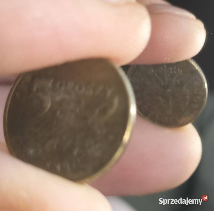 5 gr 1993r Odwrotka Będzin