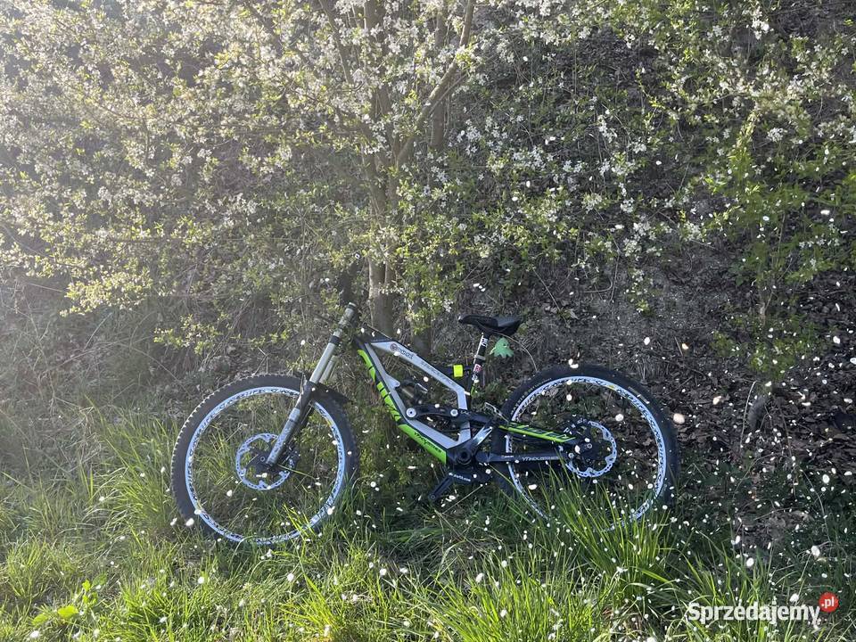 Rower DH YT tues industries 20