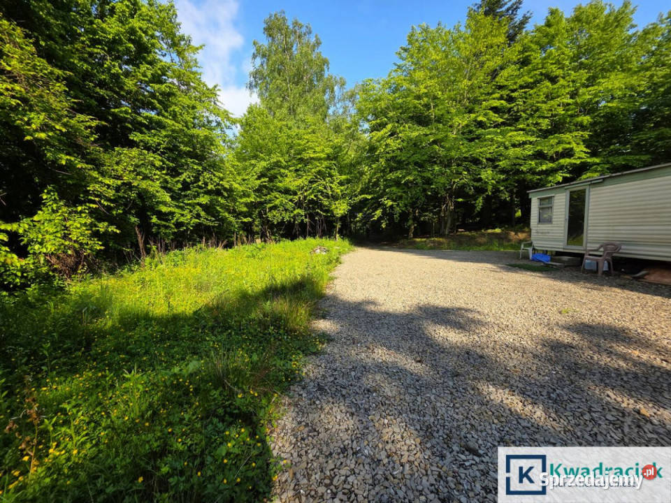 Działka 8242m2 Płowce