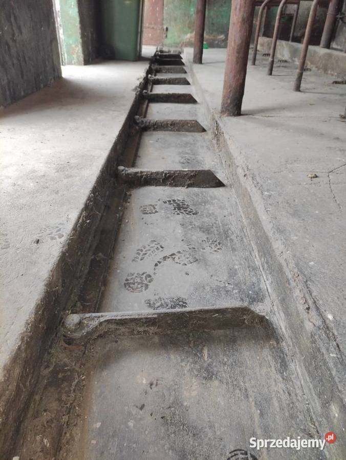 Wyciąg do obornika hydrauliczny łapowy TORNADO lubelskie Przechód