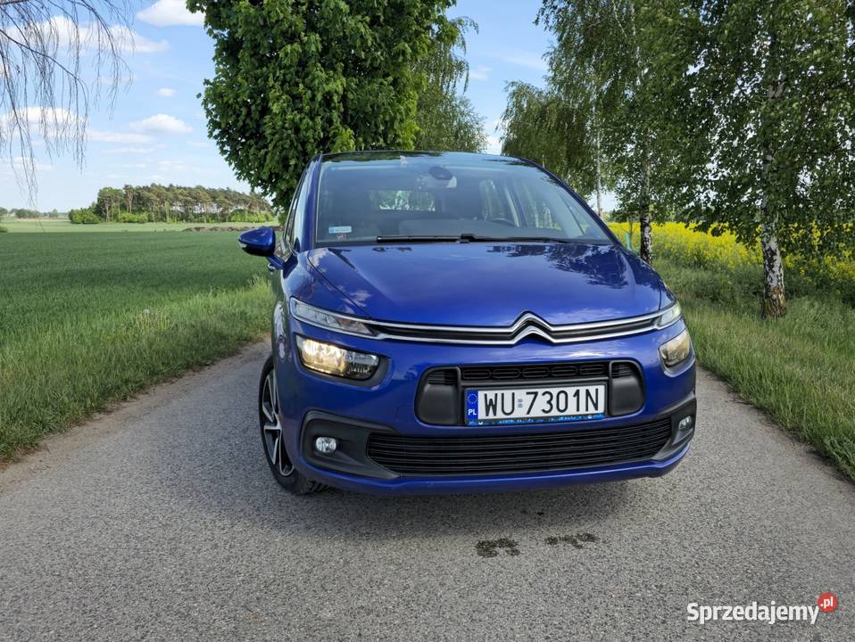 Citron C4 Picasso Citroen C4 Picasso 2016r Toruń