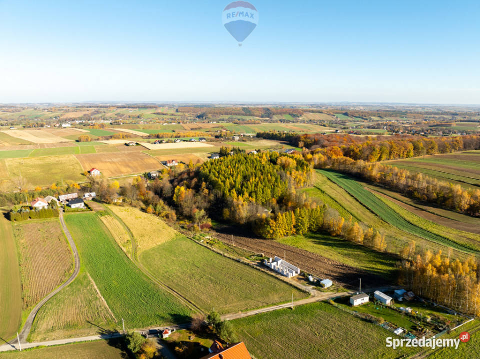 Działka z bijącym źródłem i kawałkiem lasu asfalt
