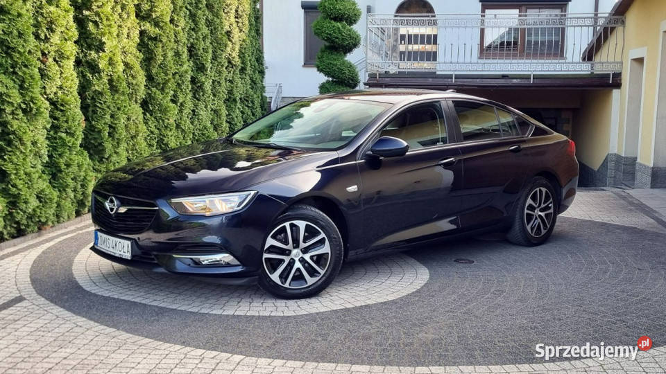 Opel Insignia Automat Navi Kamera Serwis Rok produkcji 2017 Insignia Płońsk sprzedam
