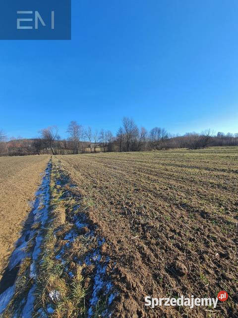 Grunt 3100m2 Wysoka Strzyżowska