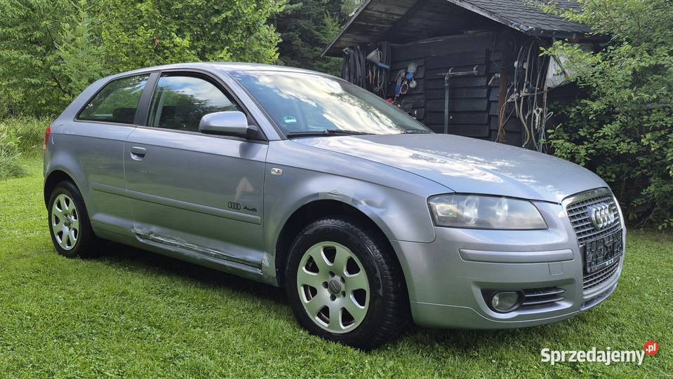 Audi a3 8p 16 benzyna 2006