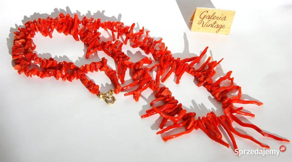 Koral naturalny szlachetny gałązki stary Lublin sprzedam