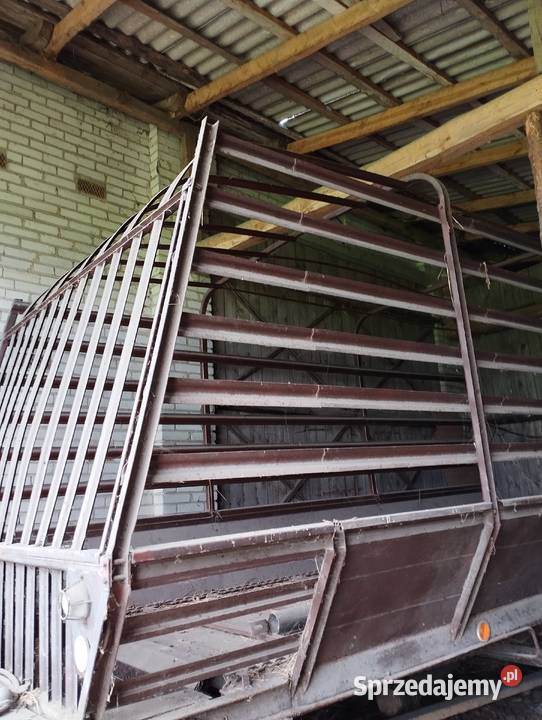 Przyczepa samozbierająca Łosice