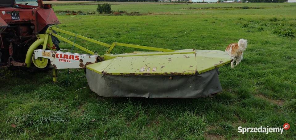 Claas Corto 210 wielkopolskie Wysoczka