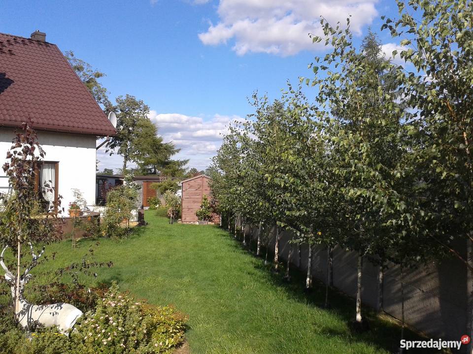 Sprzedam zamienię dom