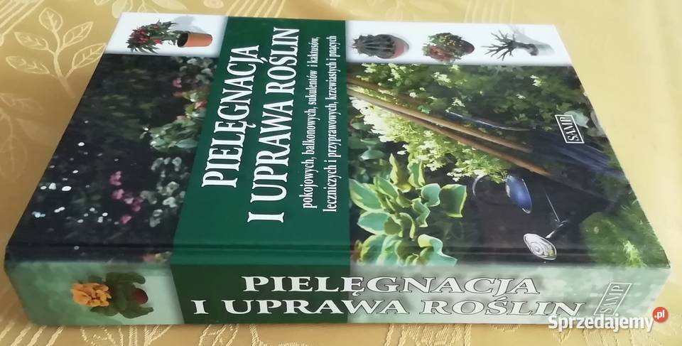 Pielęgnacja i uprawa roślin pokojowych Radom