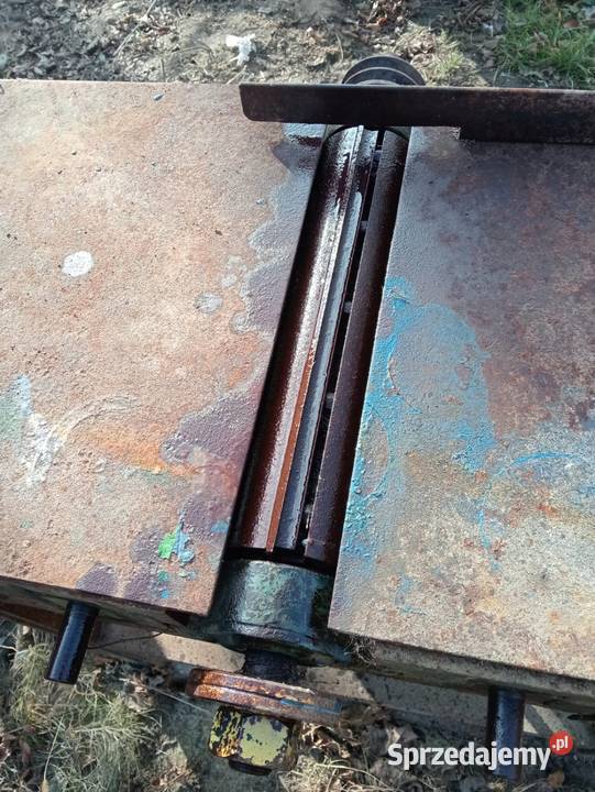 Heblarka grubościówka Wielkolas