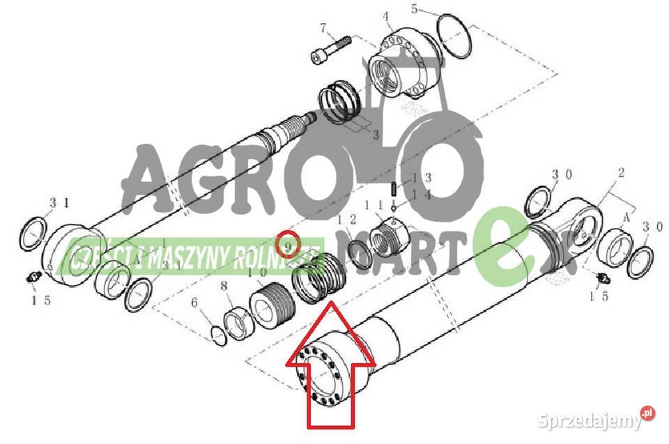 71466446 76607980 6905276 ZESTAW USZCZELEK CNH Wichrów