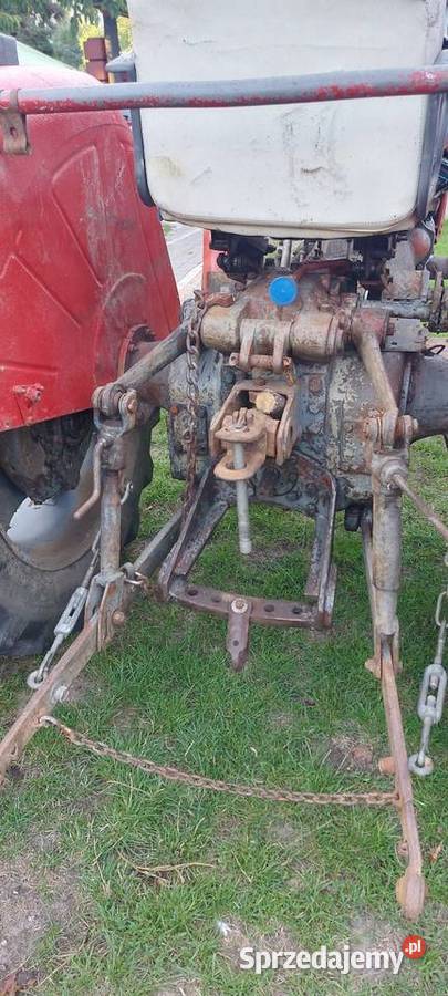 Zetor 3011 świętokrzyskie Mucharzew