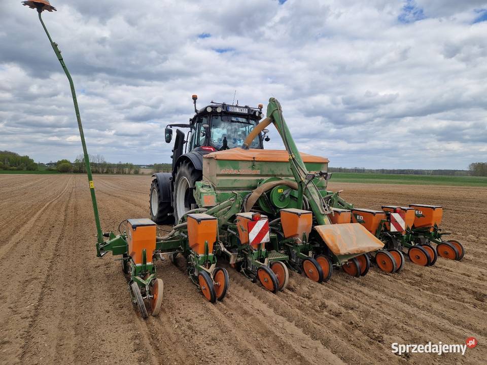 Siewnik kukurydzy słonecznika Amazone ED 602K Bielsk Podlaski