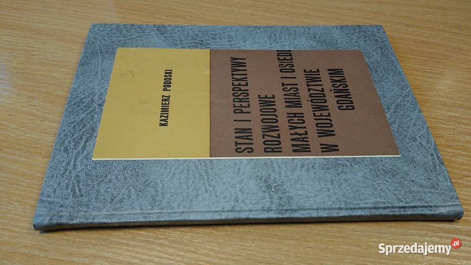 Stan i perspektywy rozwojowe małych miast i Gdańsk